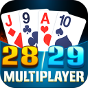 28 29 Multiplayer