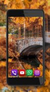 Autumn Park live wallpaper screenshot 4