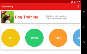 Dog Training screenshot 8