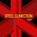 Steel Conection Icon