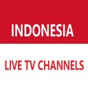 indonesia live tv channels