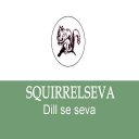 BULK SMS - Squirrelseva Softech