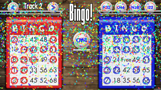 Basic Bingo 2 screenshot 2