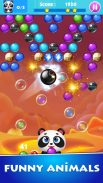 Panda buborék shooter screenshot 3