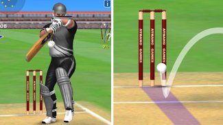 Cricket World Domination screenshot 1