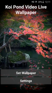 Koi Pond Video Live Wallpaper screenshot 2