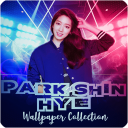 Park Shin Hye Wallpaper Collection Icon