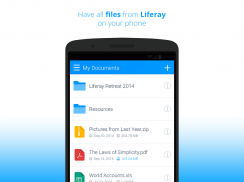 Liferay Sync screenshot 0