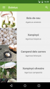 Boletus Lite - mushrooms screenshot 4