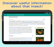 InsectID - Identify Insects screenshot 6