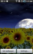 Sunflower LW Free + weather screenshot 0