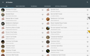 Indian Snakes screenshot 8