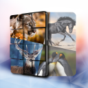 Cute animals jigsaw puzzle games 🐼🐟🐤