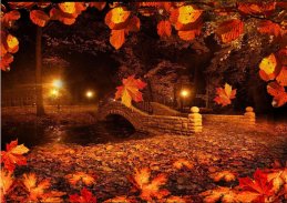 Autumn Twinkle Lights live wallpaper screenshot 7