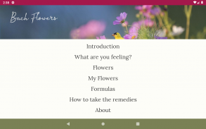 Flores de Bach screenshot 6