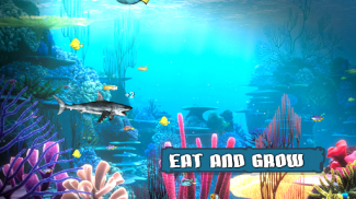 King of the Fish Tank screenshot 2