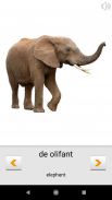 Aprender palabras en holandés con Smart-Teacher screenshot 5