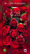 Flowers Wallpapers 4K [UHD] screenshot 4