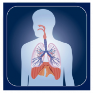 Learn Physiology screenshot 2