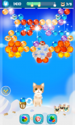 Kitten Bubble screenshot 5