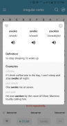 Irregular Verbs In English screenshot 2