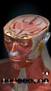 Anatomy Learning – Atlas de anatomia 3D screenshot 0