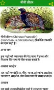 Birds Information in Hindi screenshot 1