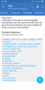 English Dictionary & Thesaurus screenshot 14