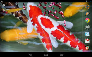 Interactive Koi Fish 3D screenshot 1