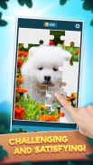 Jigsaw Adventures Puzzle Game screenshot 8