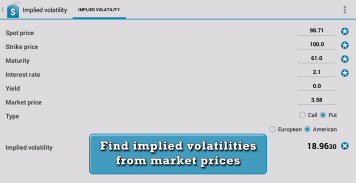 Options Pricing Suite screenshot 21