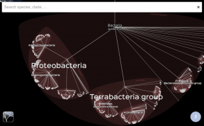 Lifemap - Tree of Life screenshot 0