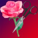 Rose and Scissor