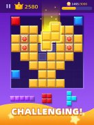 Block Mania - Blast Puzzle screenshot 2