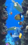 Aquarium and fishes screenshot 1