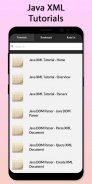 Easy Java XML Tutorial screenshot 0