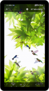 Birds Flying Live Wallpaper screenshot 0