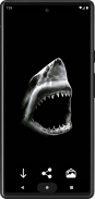 Shark HD Wallpapers screenshot 3