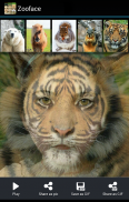 Zooface - GIF Animal Morph screenshot 3