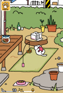 Neko Atsume: Kitty Collector screenshot 1