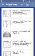 Oncology Nursing Drug Handbook screenshot 1