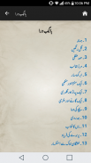 Shaaer-e-Mashriq(Allama Iqbal) screenshot 10