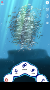 school of fish  AR screenshot 1