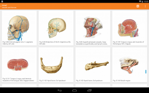 Sobotta Anatomy Atlas screenshot 12