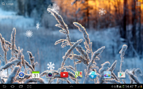 Winter Flowers Live Wallpaper screenshot 1