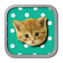 Musical Kittens Icon