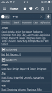 English Hindi Dictionary Lite screenshot 1