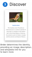 Birder.AI - The Bird Sound Ide screenshot 1