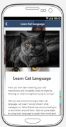 Cat Behavior screenshot 1