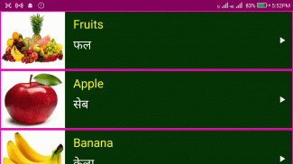 Learn English From Hindi screenshot 1